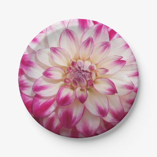 Beaux Paper Plates (Front)