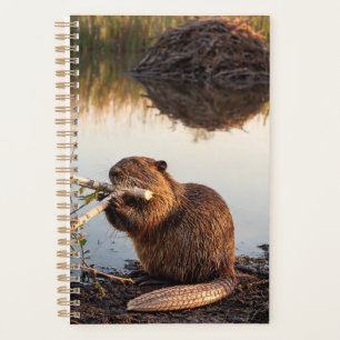Beaver 2027 Planner