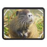 beaver-4 hitch cover
