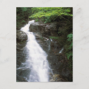 Beaver Brook cascade Mount Moosilauke NH Postcard