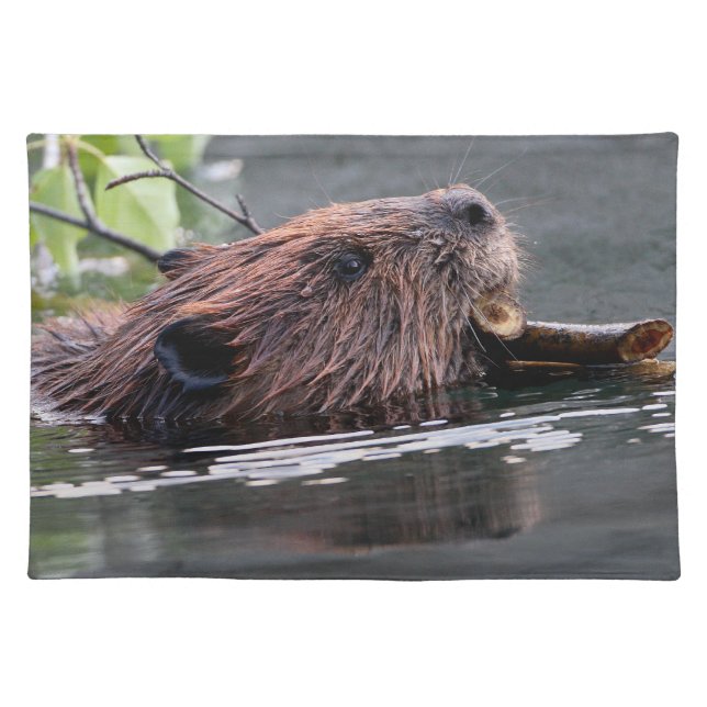 beaver cloth placemat (Front)