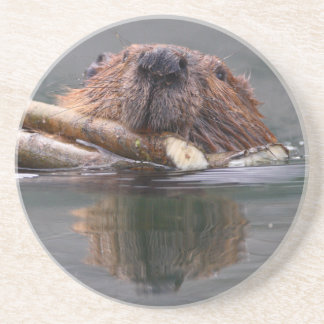 beaver coaster
