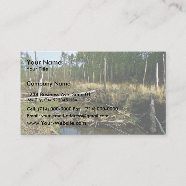 Beaver Dam Business Card (Front)
