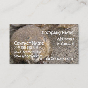 Beaver Design Business Card