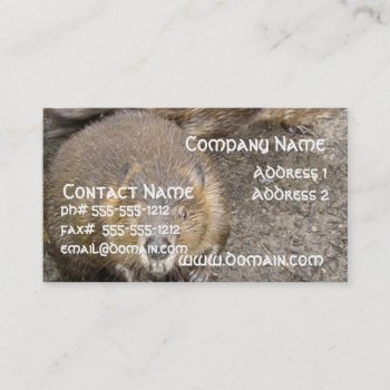 Beaver Design Business Card by WildlifeAnimals at Zazzle