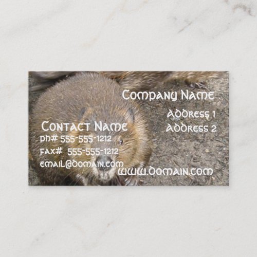 Beaver Design Business Card