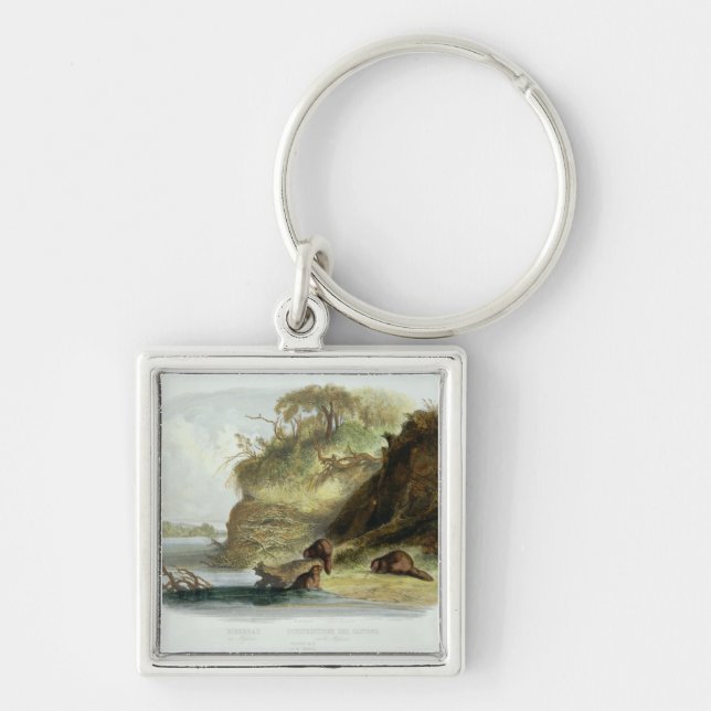 Beaver Hut on the Missouri, plate 17 from volume 1 Keychain (Front)