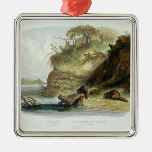 Beaver Hut on the Missouri, plate 17 from volume 1 Metal Ornament