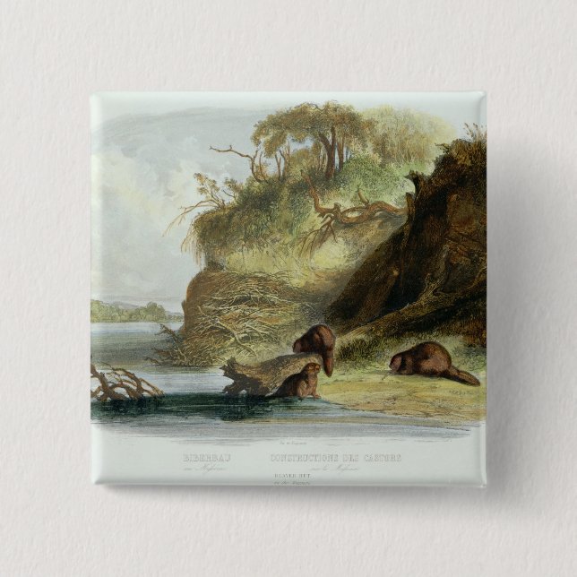 Beaver Hut on the Missouri, plate 17 from volume 1 Pinback Button (Front)