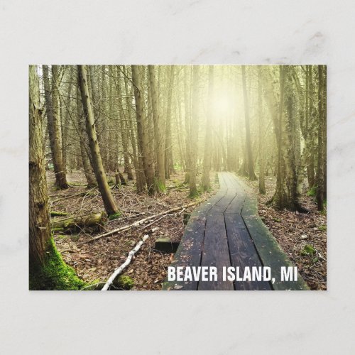 Beaver Island Michigan Hiking Trail Travel Postcard