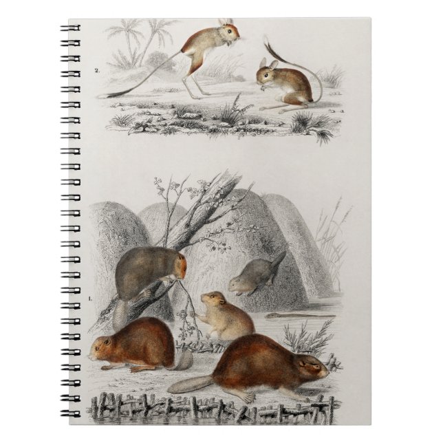 Beaver Jerboa Notebook (Front)