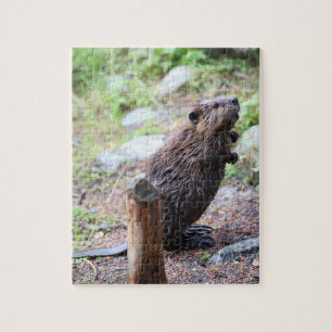 Beaver Jigsaw Puzzle