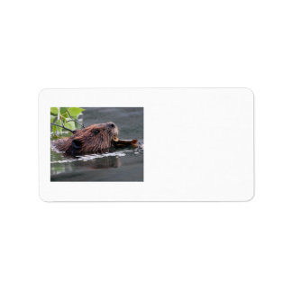 beaver label