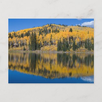 Beaver Lake In Autumn Postcard by bluerabbit at Zazzle