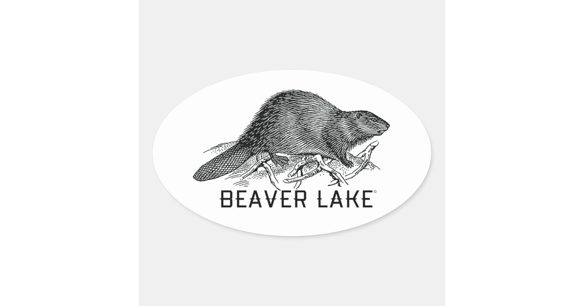 Beaver Lake Oval Sticker | Zazzle