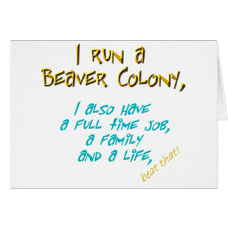 beaver leader turquoise cards