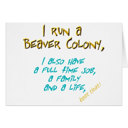 beaver leader turquoise cards (Front Horizontal)
