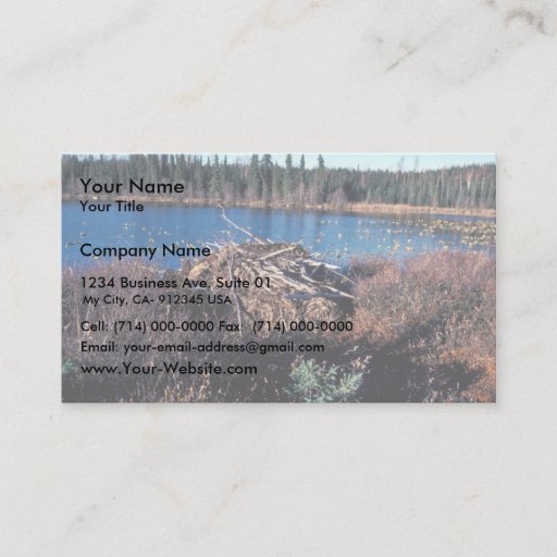 Customizable Beaver Lodge on Martin Lake Business Card Templates