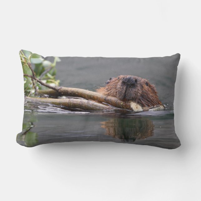 beaver lumbar pillow (Front)