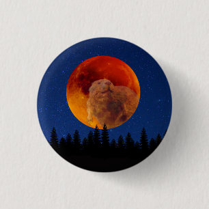 Beaver Moon in November Button