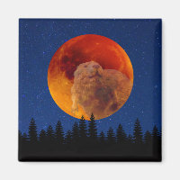 Beaver Moon in November