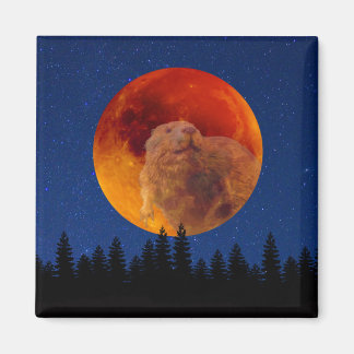 Beaver Moon in November Magnet