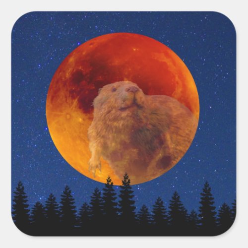 Beaver Moon in November Square Sticker