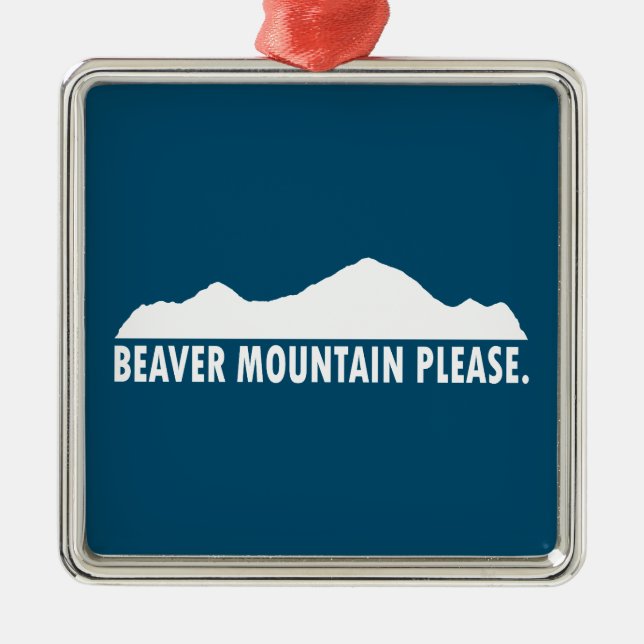 Beaver Mountain Resort Please Metal Ornament (Front)