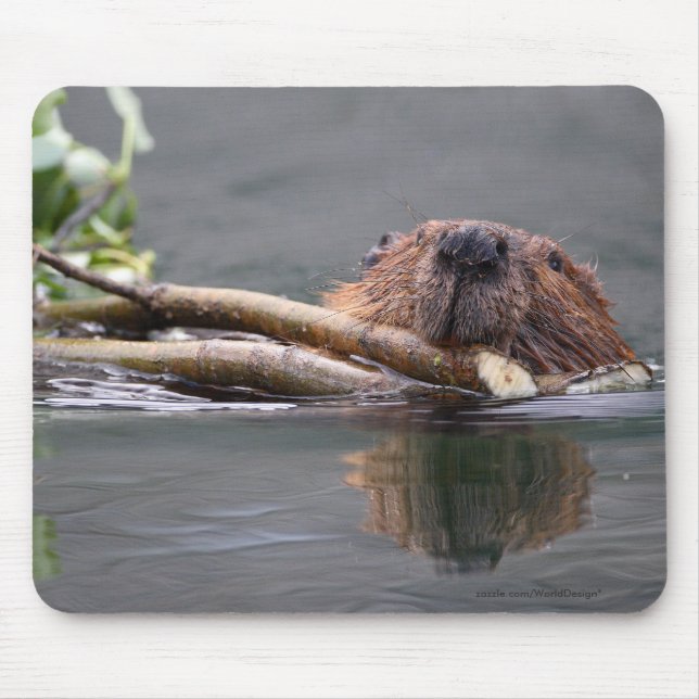 Beaver Mouse Pad (Front)