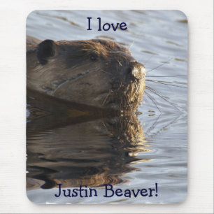 Beaver Mousepad
