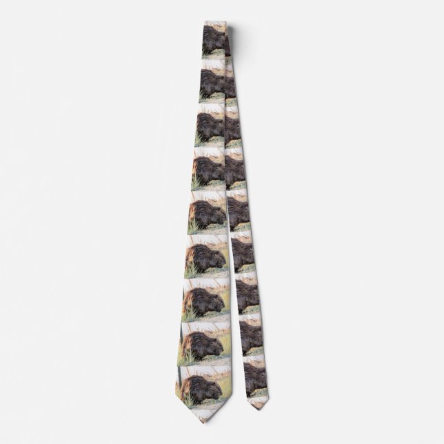 Beaver Neck Tie (Front)