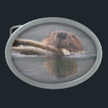 beaver oval belt buckle<br><div class="desc">beaver swimming and working, razor sharp and clear image using large file size... Using amazing, unique, and high-quality images of wildlife and nature, WorldDesign is dedicated to creating fun and beautiful products for people to enjoy, share, and promote as gifts. We are a Zazzle Elite ProSeller and own the copyright...</div>