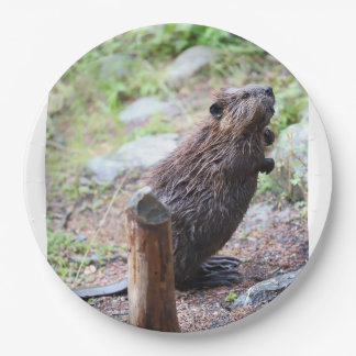 Beaver Paper Plates