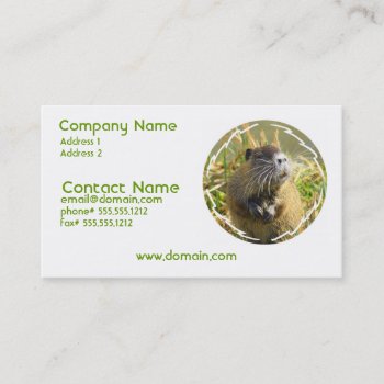 Beaver Photo Business Card by WildlifeAnimals at Zazzle