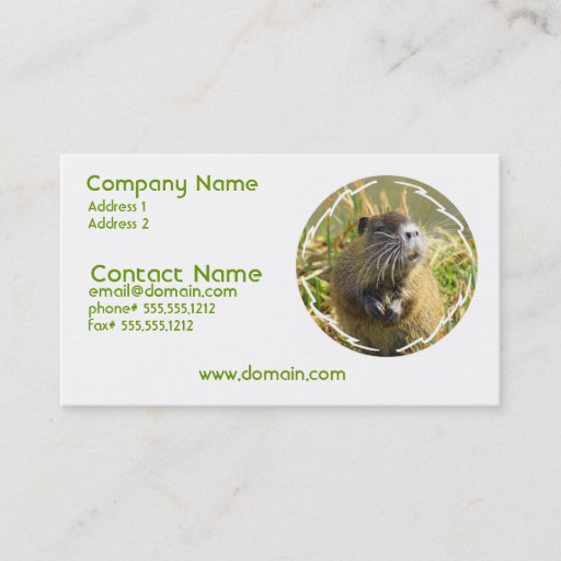 Customizable Beaver Photo Business Card