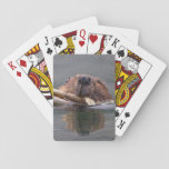 Beaver Playing Cards at Zazzle