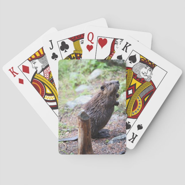 Beaver Poker Cards (Back)