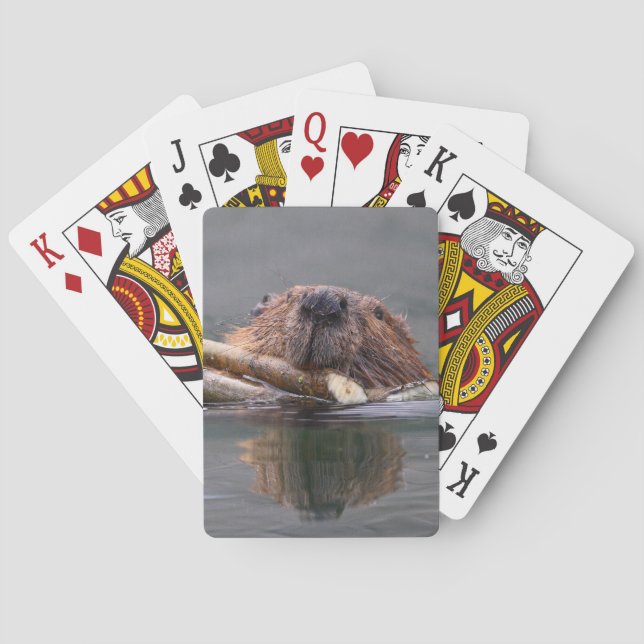 beaver poker cards (Back)