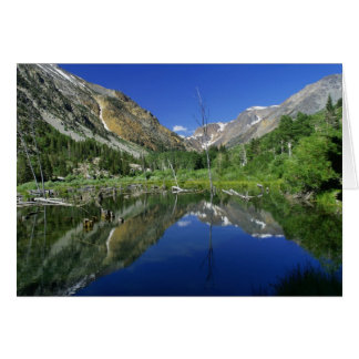 Beaver Pond, Lundy canyon Cards