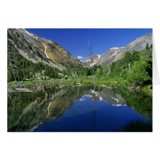 Beaver Pond, Lundy canyon Cards (Front Horizontal)