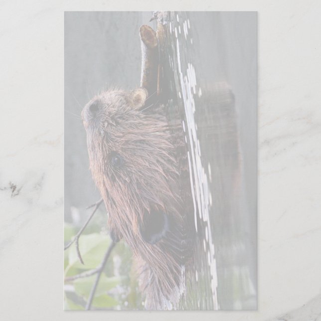 beaver stationery (Front)