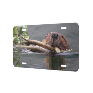 Beaver Working License Plate