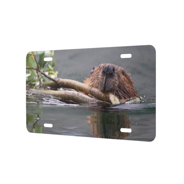 Beaver Working License Plate (Left)
