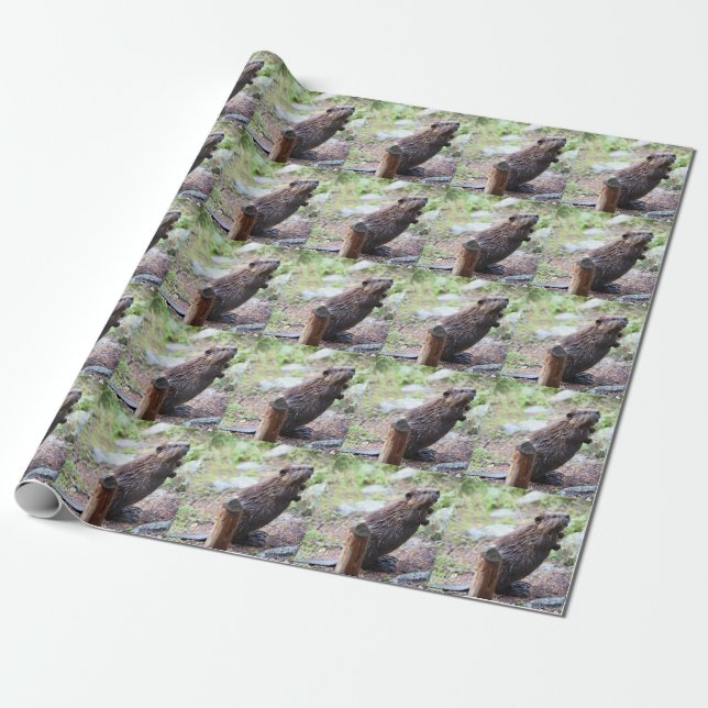 Beaver Wrapping Paper (Unrolled)