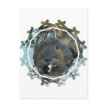 Beavers Habitat Postcard
