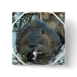 Beavers Habitat Square Pin