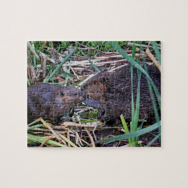 Beavers Kissing Photo Jigsaw Puzzle (Horizontal)