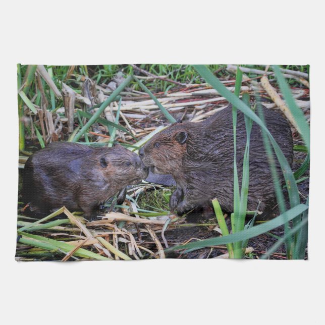 Beavers Kissing Photo Kitchen Towel (Horizontal)