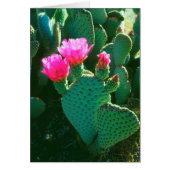 Beavertail Cactus Flowers (Front)