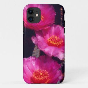 Beavertail Cactus Flowers 2 iPhone 11 Case